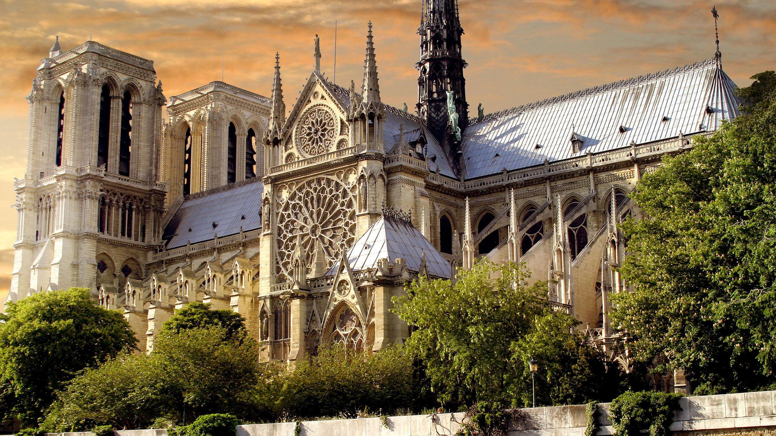  katedra notre dame w paryzu