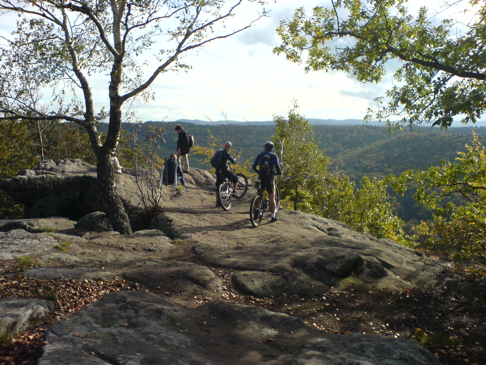 Pfaelzerwald Mountainbike Drachenfels 01