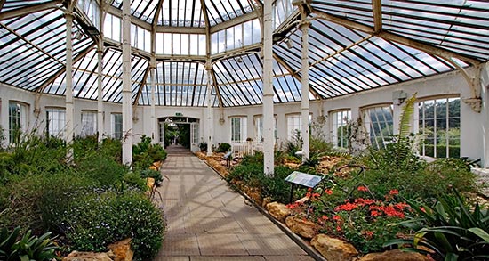 palmiarnia temperate house